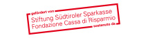 Stiftung Südtiroler Sparkasse